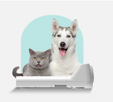 Load image into Gallery viewer, Vovo Foot and Body Dryer, White - BD-7700W is pet-friendly