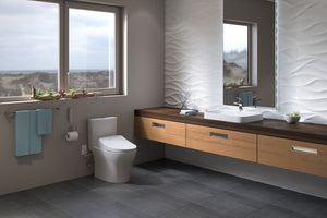 TOTO AQUIA® IV - Washlet®+ S550E Two-Piece Toilet - 1.28 GPF & 0.9 GPF - MW4463056CEMFGNA#01  modern bathroom