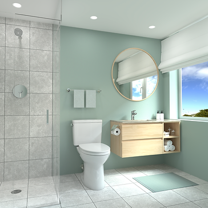 TOTO DRAKE® Two-Piece Toilet, 1.6 GPF, Elongated Bowl - Regular 