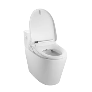 Vovo Stylement Bidet Toilet Seat- VB-6000SE - Elongated with Remote  installed toilet