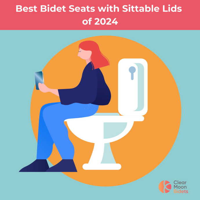 What 2024 Bidet Seats have a Sittable Lid?