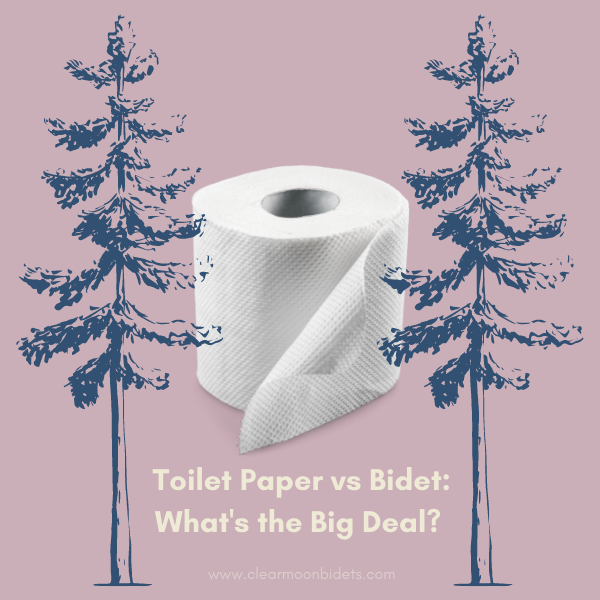 Toilet Paper vs. Bidet in 2023: What's the Big Deal?