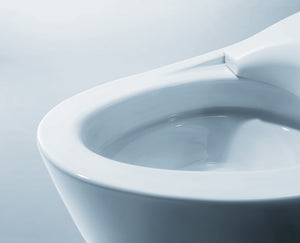 TOTO NEOREST® NX1 Dual Flush Toilet - 1.0 GPF & 0.8 GPF - MS900CUMFG#01 - rimless bowl detail