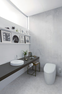 toilet-toto-neorest-rh-dual-flush-1-0-or-0-8-gpf-toilet-with-integrated-bidet-seat-and-ewater-installed in bathroom modern look
