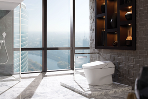 Toto Neorest® 700H Dual Flsuh Toilet MS992CUMFG#01 Bidet Washlet Smart toilet, elegant modern bathroom with view of the city