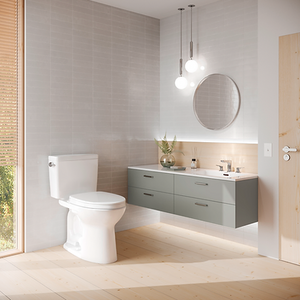 TOTO DRAKE® Two-Piece Toilet, 1.6 GPF, Elongated Bowl - REGULAR HEIGHT - MS776124CSG01 - installed in spacious, bright bathroom