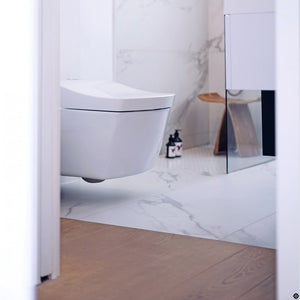 TOTO NEOREST® EW Wall-Hung Dual-Flush Toilet - CWT994CEMFG#01 bathroom install